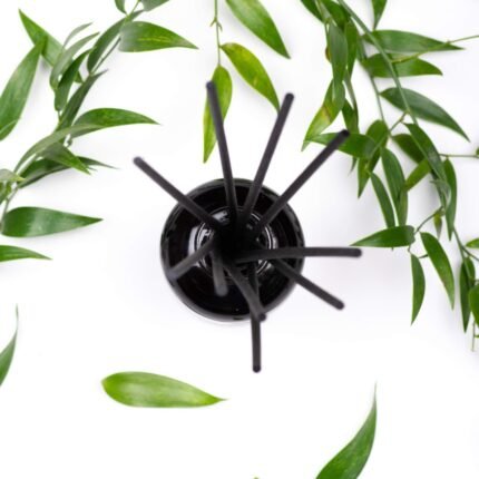 Domowa baza zapachowa Diffusol
